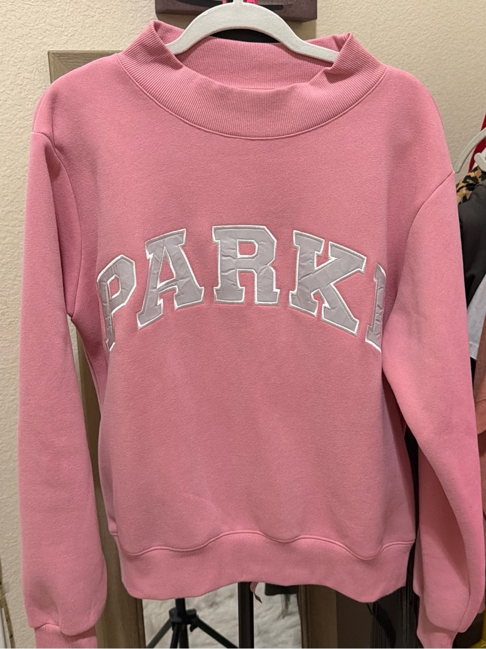 Pink Parke - Valentines 2026 Mockneck fleece